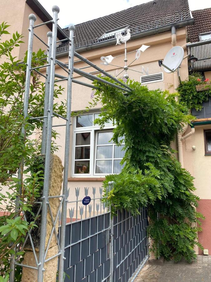 Pension - Gaestehaus Zum Pfaelzerwald Hinterweidenthal Exteriér fotografie
