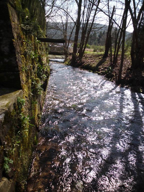 Pension - Gaestehaus Zum Pfaelzerwald Hinterweidenthal Exteriér fotografie