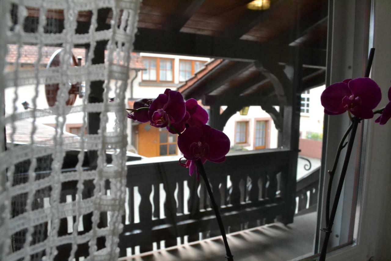 Pension - Gaestehaus Zum Pfaelzerwald Hinterweidenthal Exteriér fotografie
